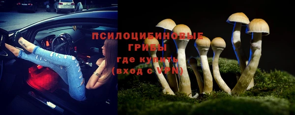 индика Белоозёрский